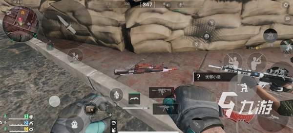 赛的命运 赛的命运