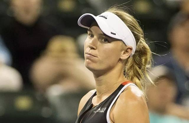 番评价不仅 番评价不仅